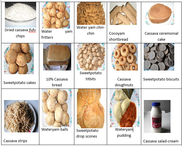 Farming Systems – National Root Crops Research Institute