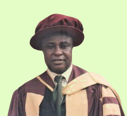 Prof Ukpabi