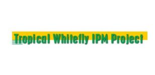 Tropical Whitely IPM