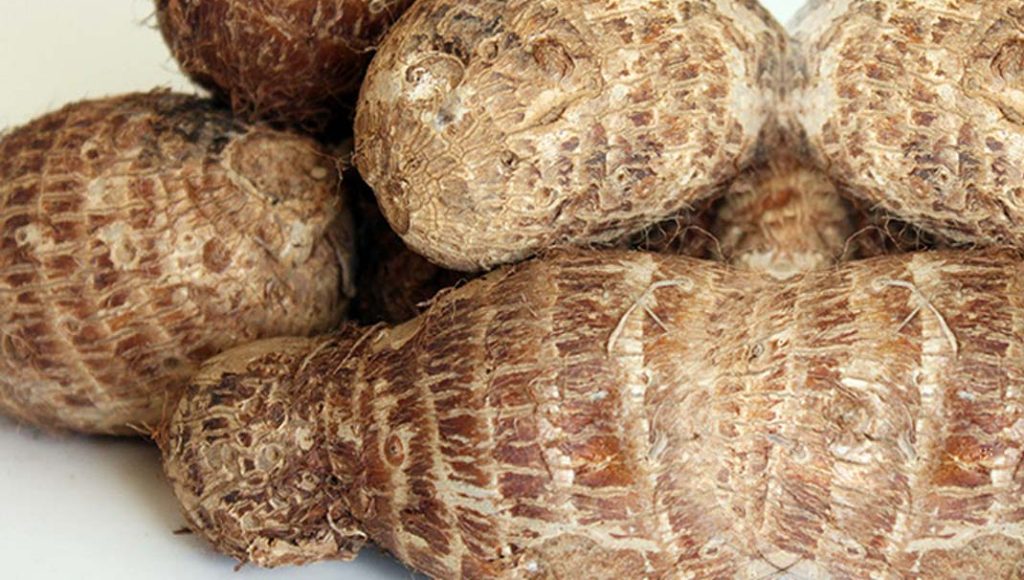 Cocoyam