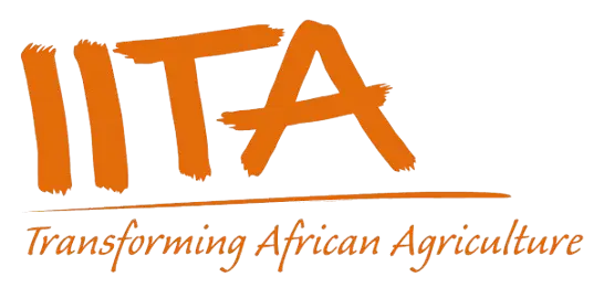 IITA