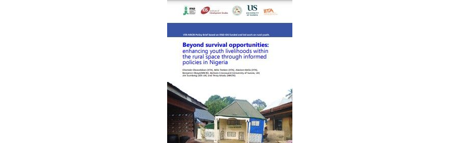 NRCRI Policy Brief